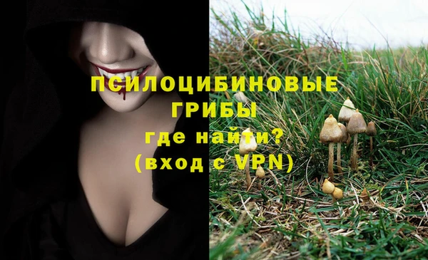 круглые Алексин