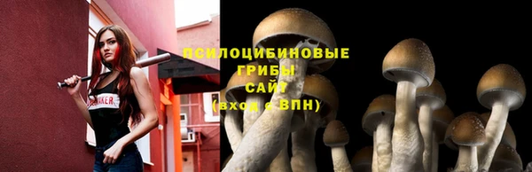 круглые Алексин