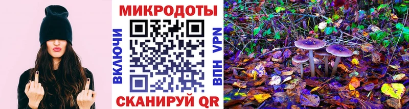 Галлюциногенные грибы прущие грибы  Моздок 